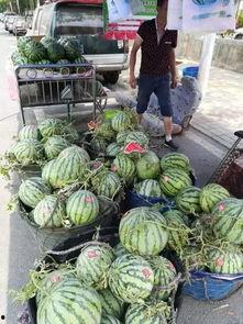 晋中灵石吃瓜事件